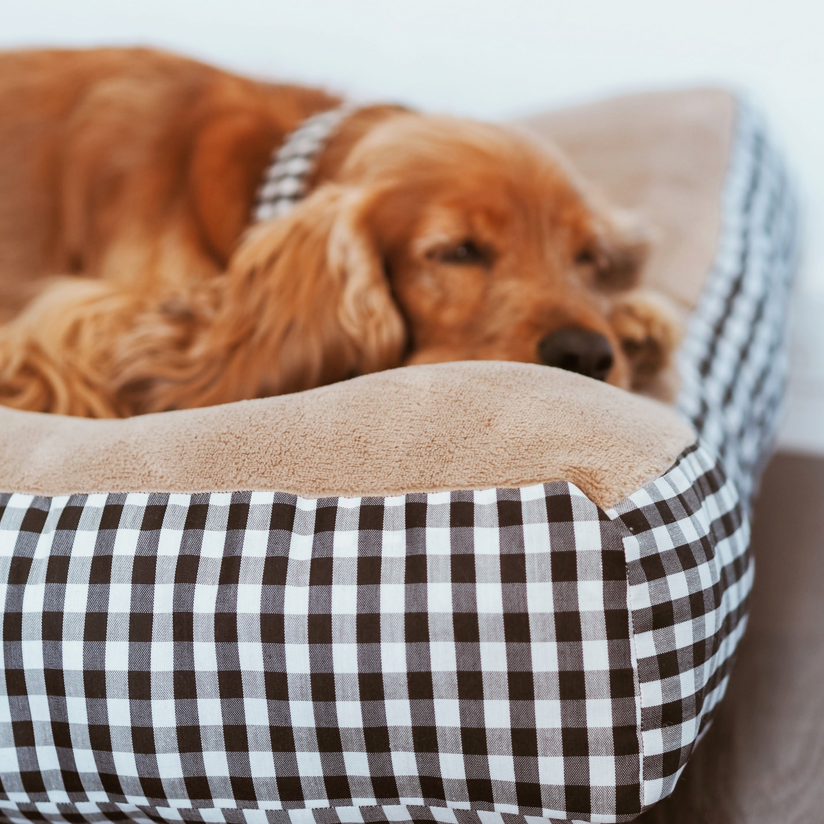 Cama para perros reversible Vichy negro