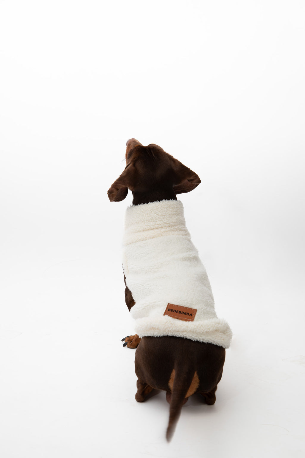 JERSEY PARA PERROS BORREGUITO