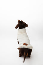 JERSEY PARA PERROS BORREGUITO