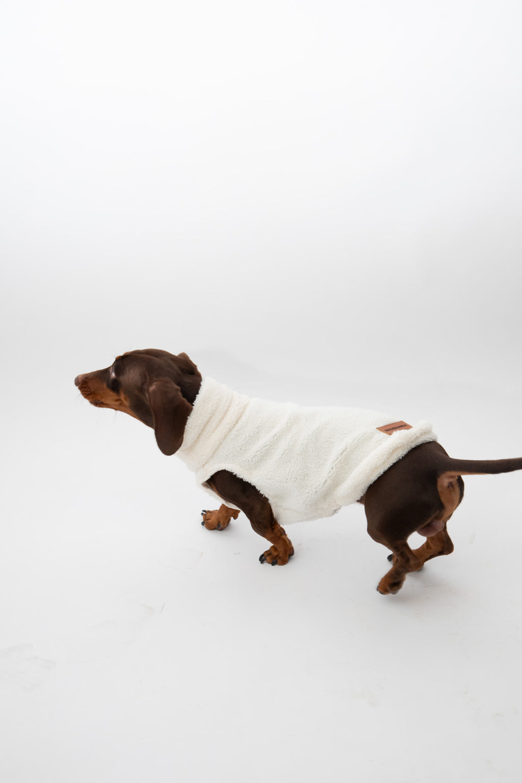 JERSEY PARA PERROS BORREGUITO