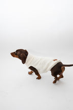 JERSEY PARA PERROS BORREGUITO