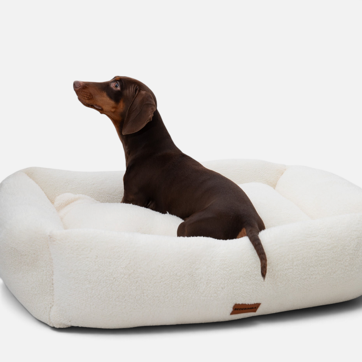 Cama para perros BIMBAS BRAND desenfundable de borreguito color crema con un perro salchicha sentado encima