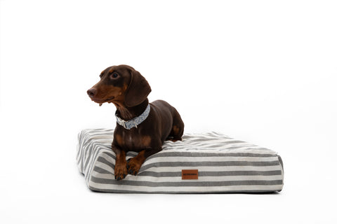 Cama viscoelástica para perros Stripes desenfundable