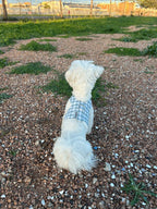 ARNÉS CHALECO VICHY OLD GREEN