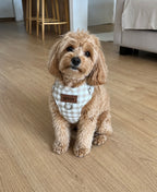 Arnés para perros personalizado | Vichy