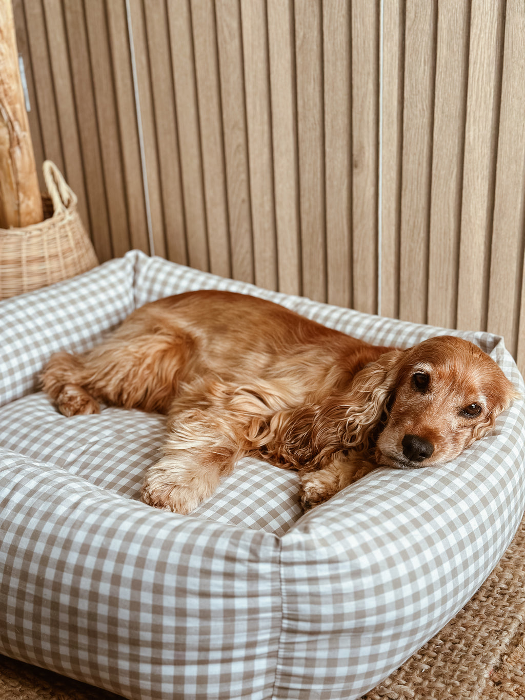 CAMA PARA PERROS DESENFUNDABLE VICHY