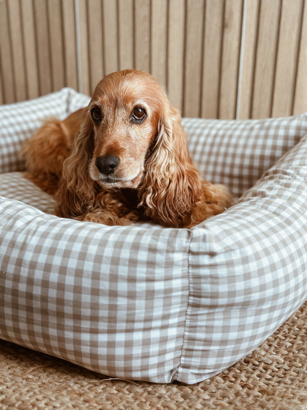 CAMA PARA PERROS DESENFUNDABLE VICHY