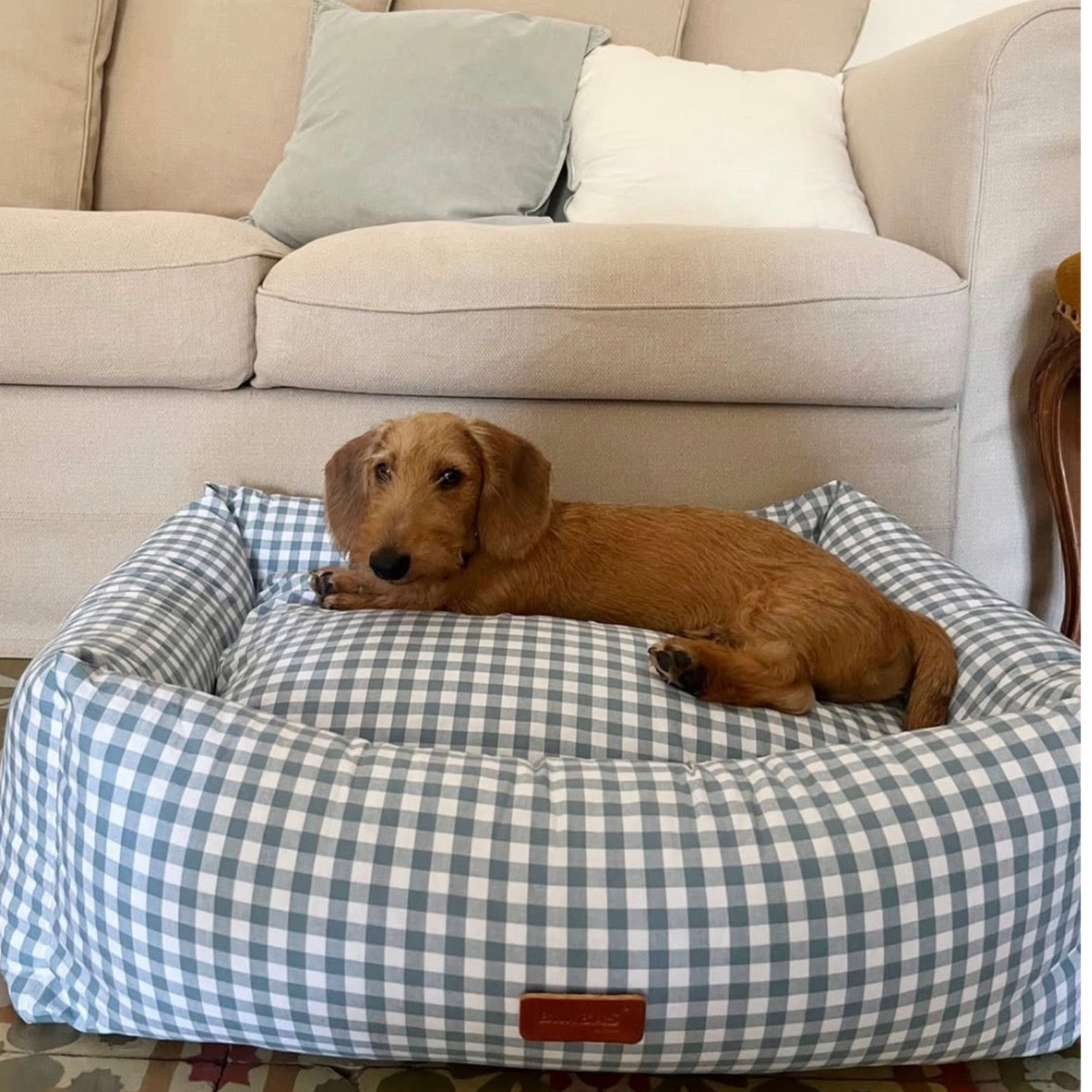 Perro salchicha descansando en una cama desenfundable BIMBAS BRAND con estampado vichy en tono verde antiguo