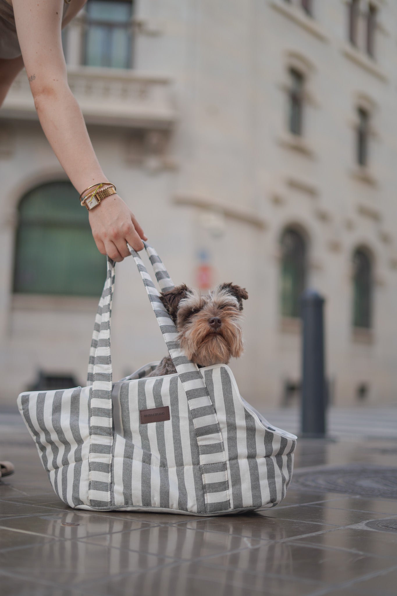 Transportin para perros Stripes