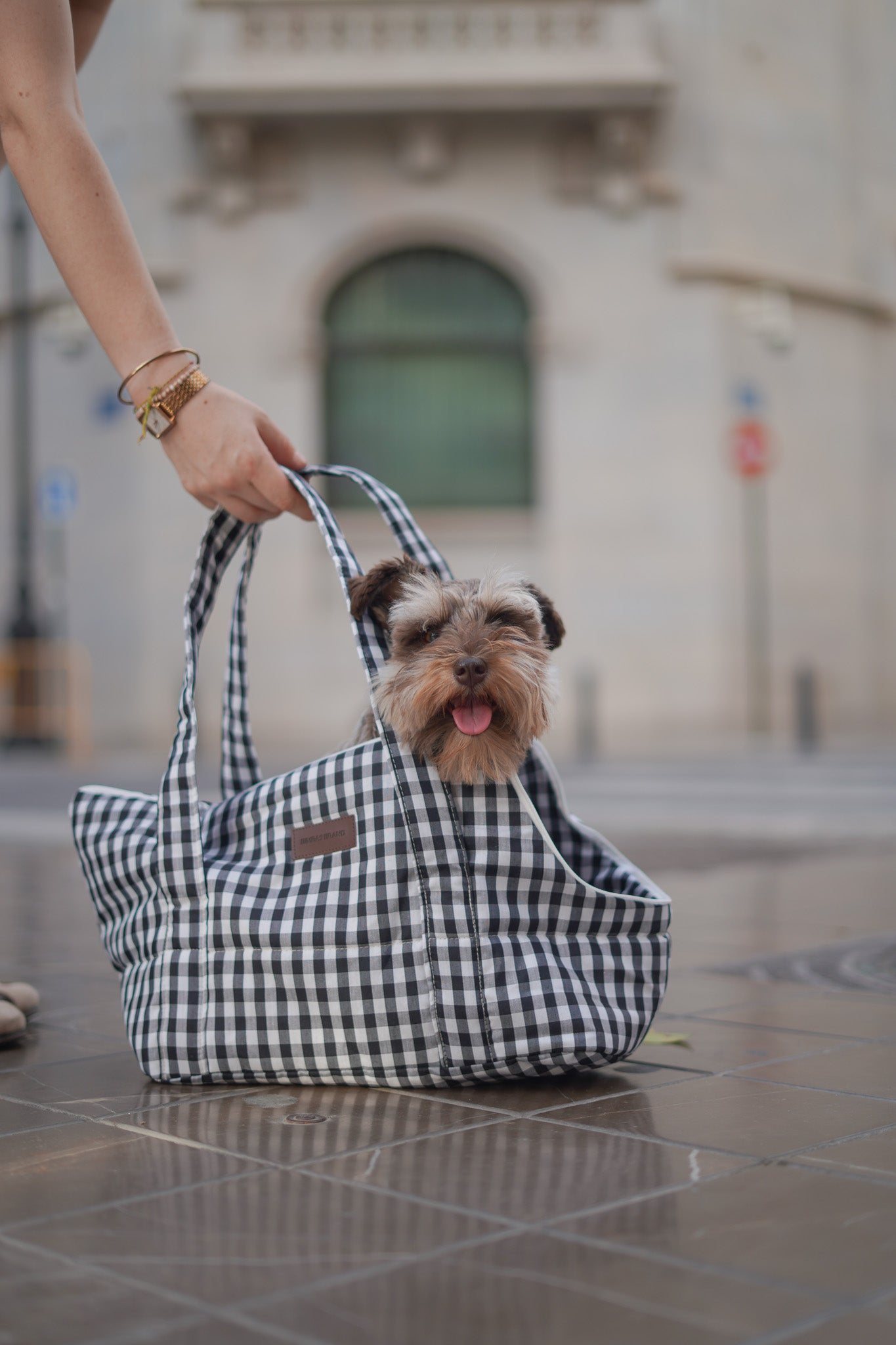 Transportin para perros Vichy negro