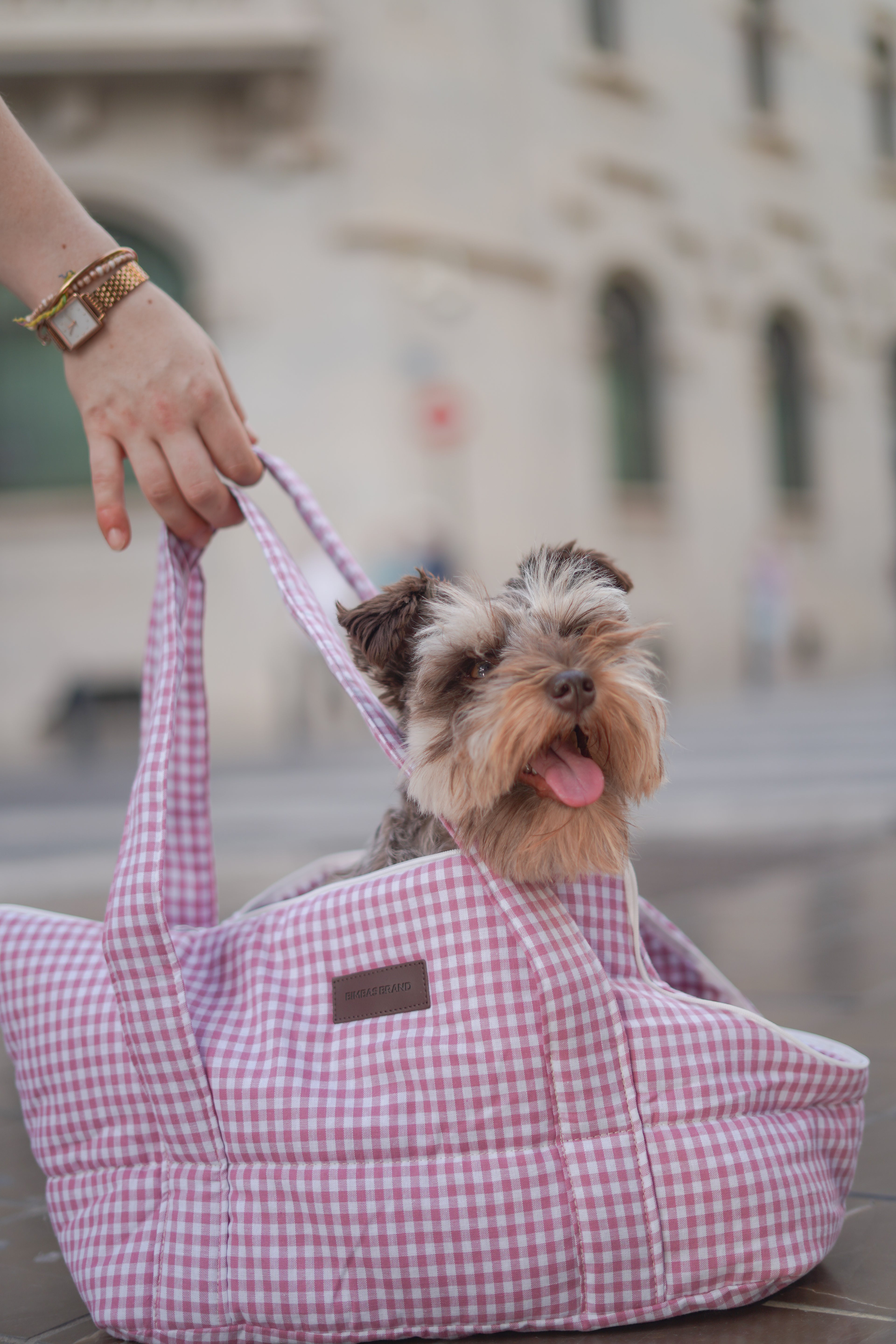 Transportin para perros Vichy rosa