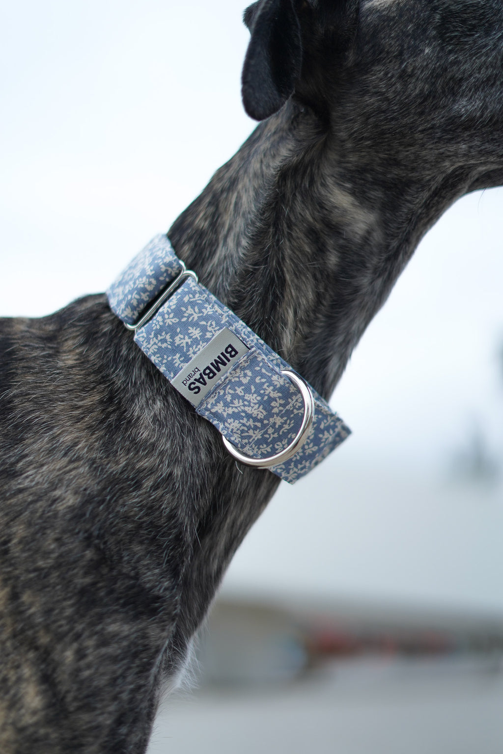 MARTINGALE OLIWIA BLUE