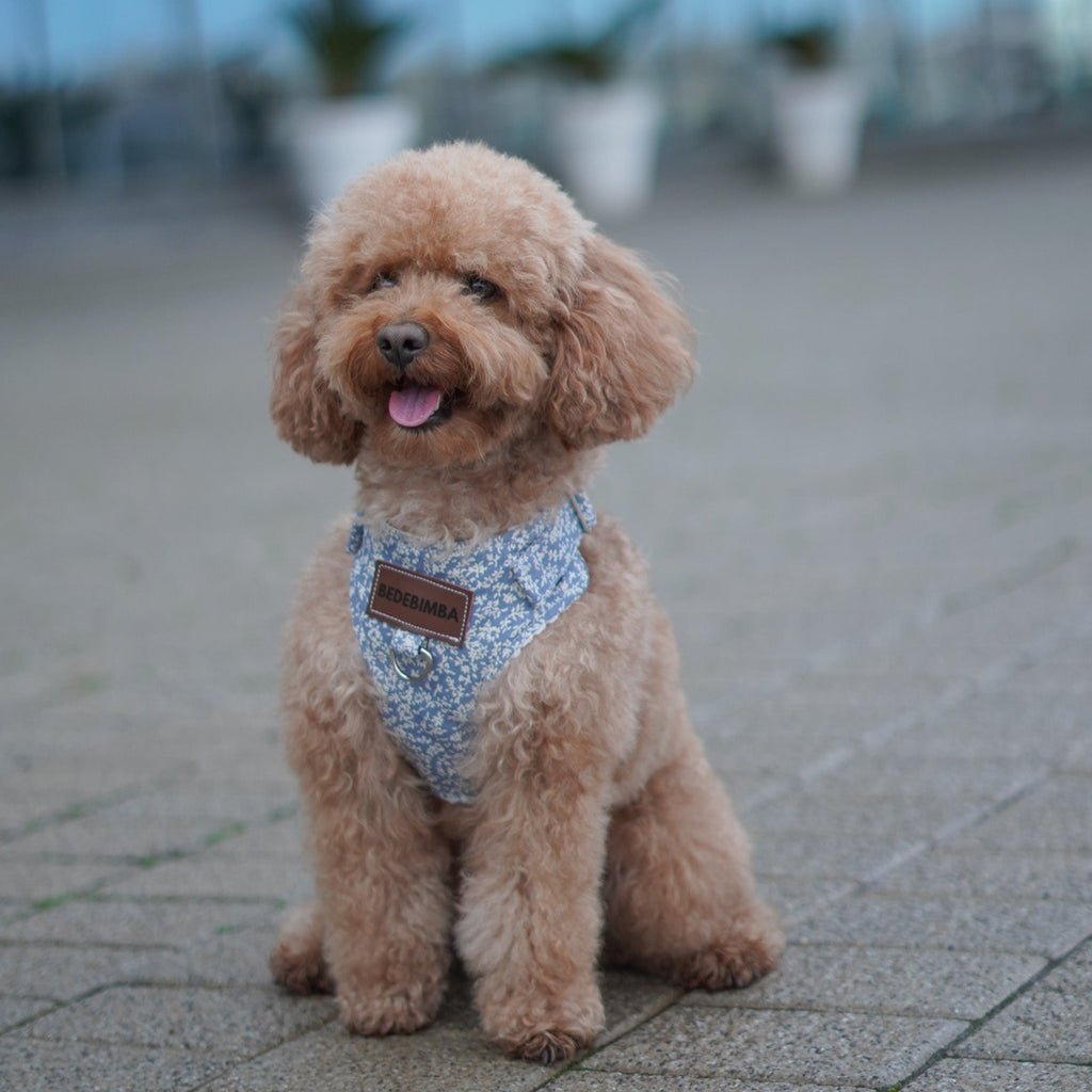 ARNÉS PARA PERROS OLIWIA BLUE