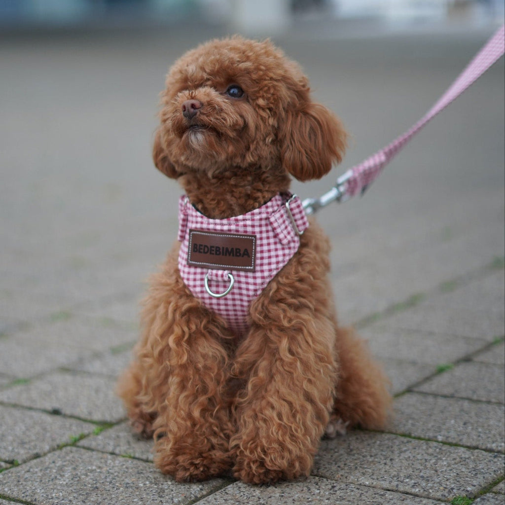 ARNÉS PARA PERROS PINKIE