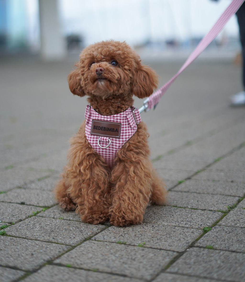 ARNÉS PARA PERROS PINKIE