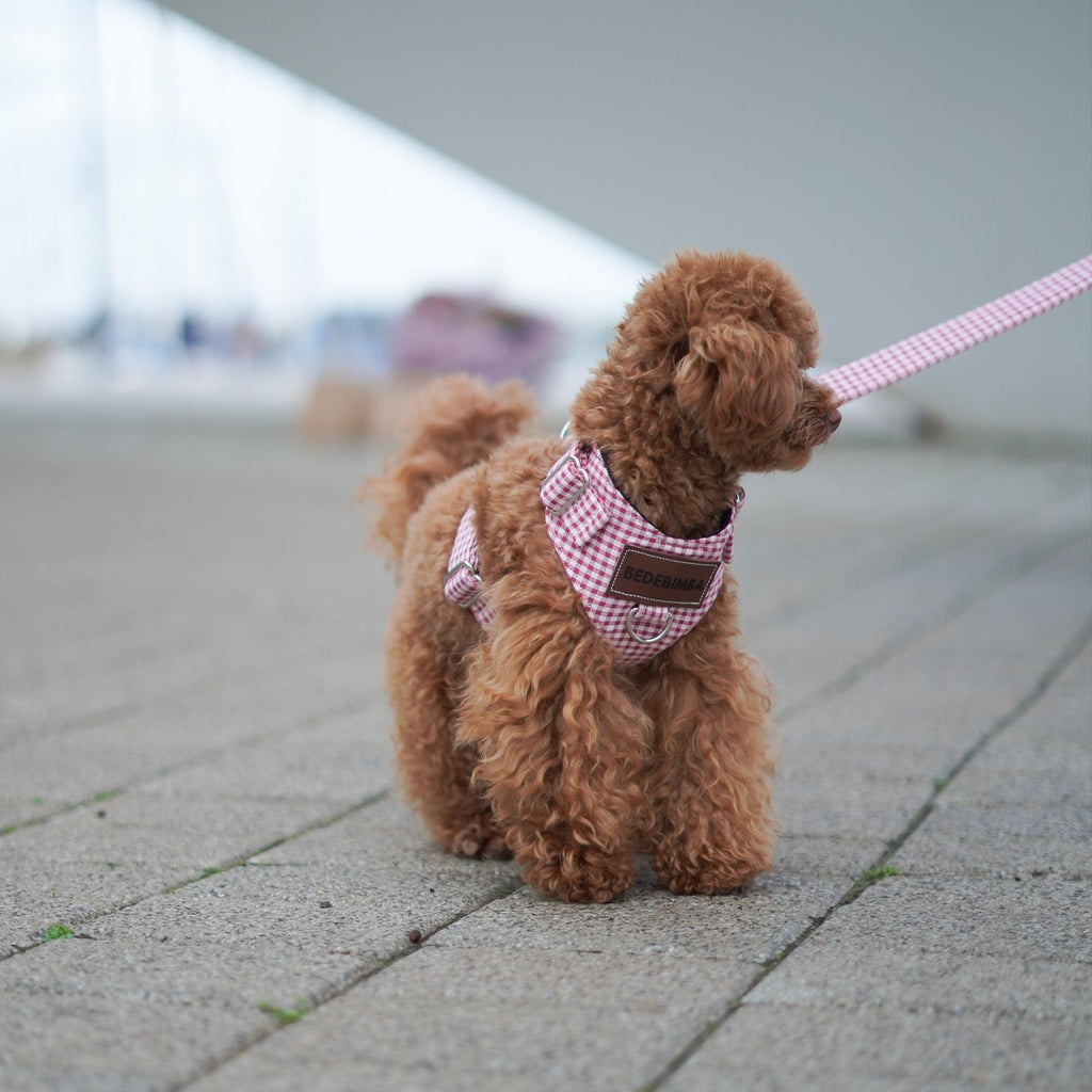 ARNÉS PARA PERROS PINKIE