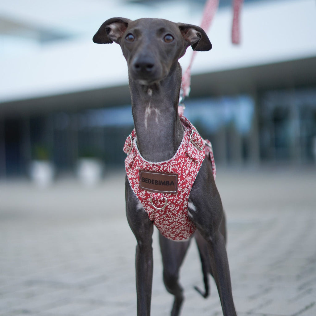 ARNÉS PARA PERROS OLIWIA RED