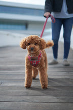 ARNÉS PARA PERROS LONDRES