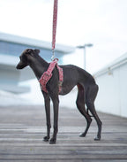 ARNÉS PARA PERROS OLIWIA RED