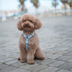 ARNÉS EN H VICHY OLD GREEN