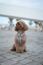 ARNÉS EN H VICHY OLD GREEN