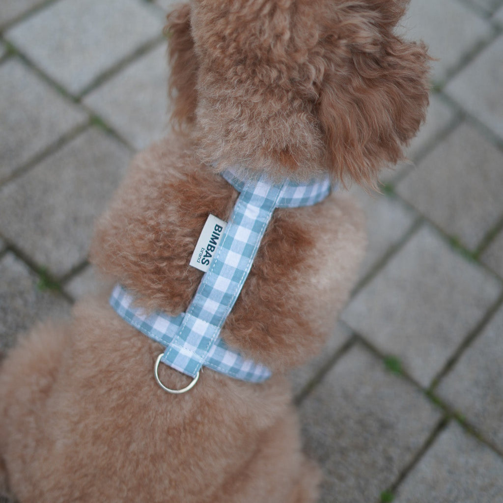 ARNÉS EN H VICHY OLD GREEN