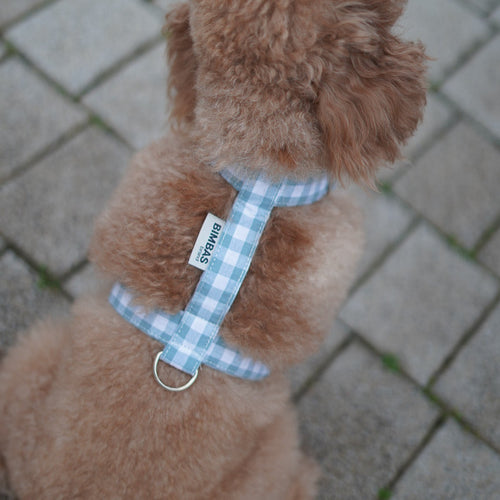 ARNÉS EN H VICHY OLD GREEN