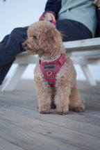 ARNÉS PARA PERROS LONDRES