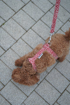 ARNÉS EN H OLIWIA RED