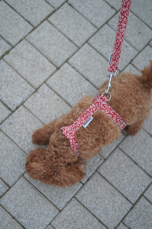 ARNÉS EN H OLIWIA RED