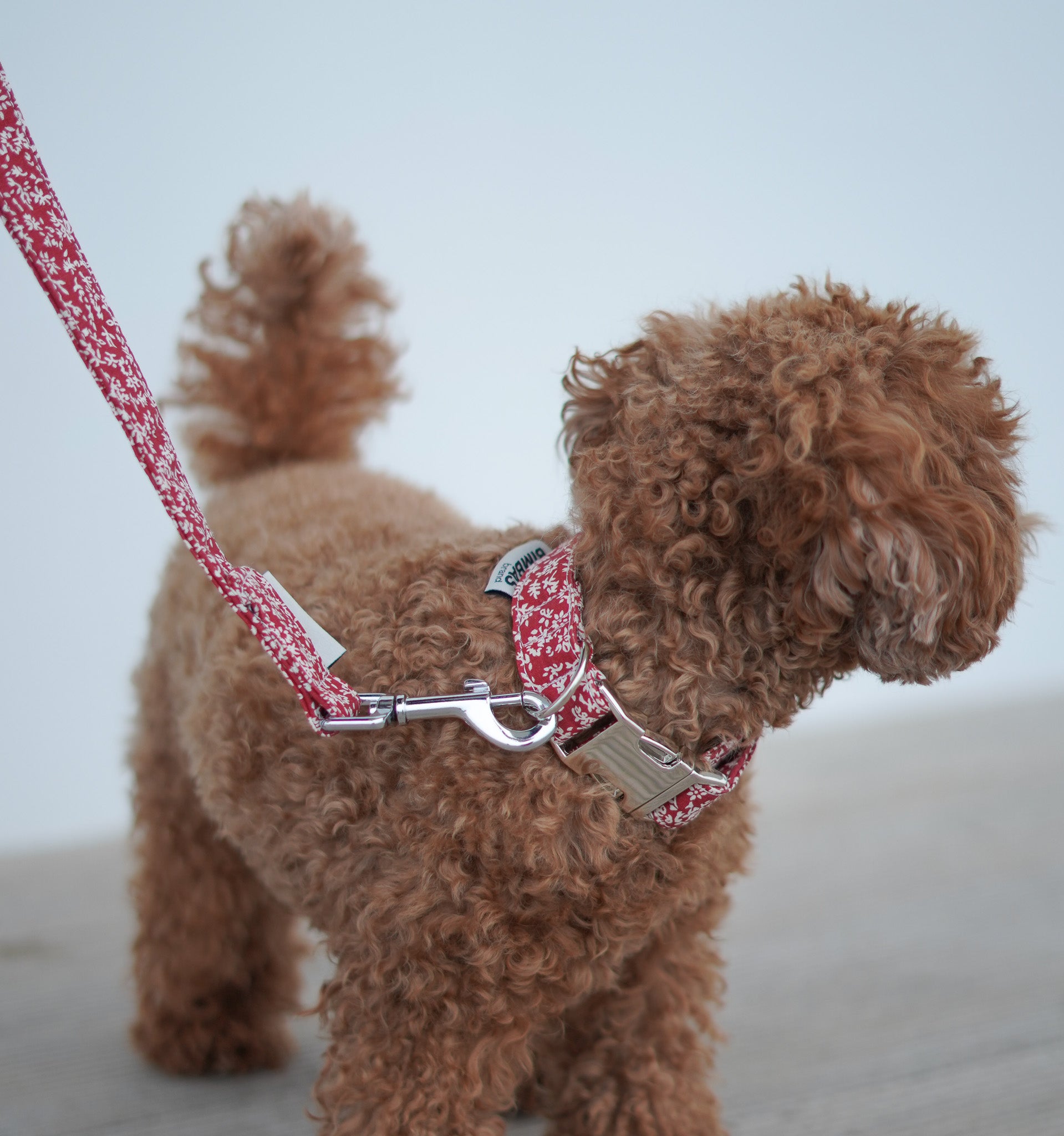 Collar para perros Red Oliwia