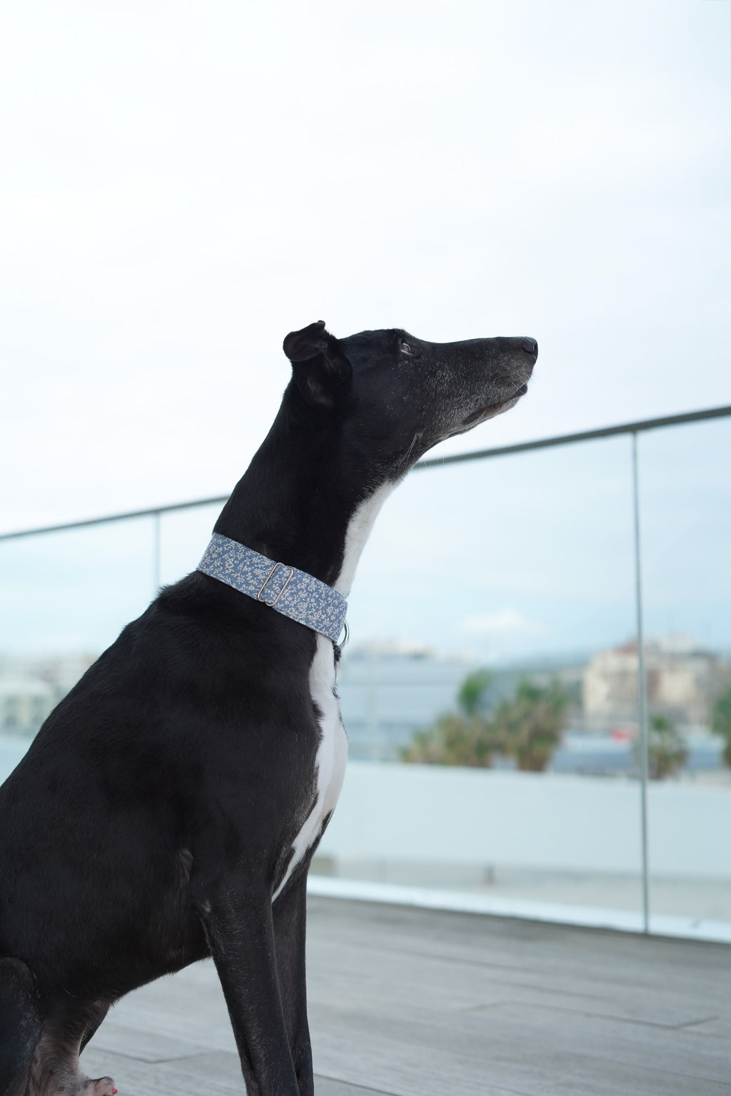 MARTINGALE VICHY OLD GREEN