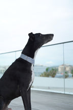 MARTINGALE VICHY OLD GREEN