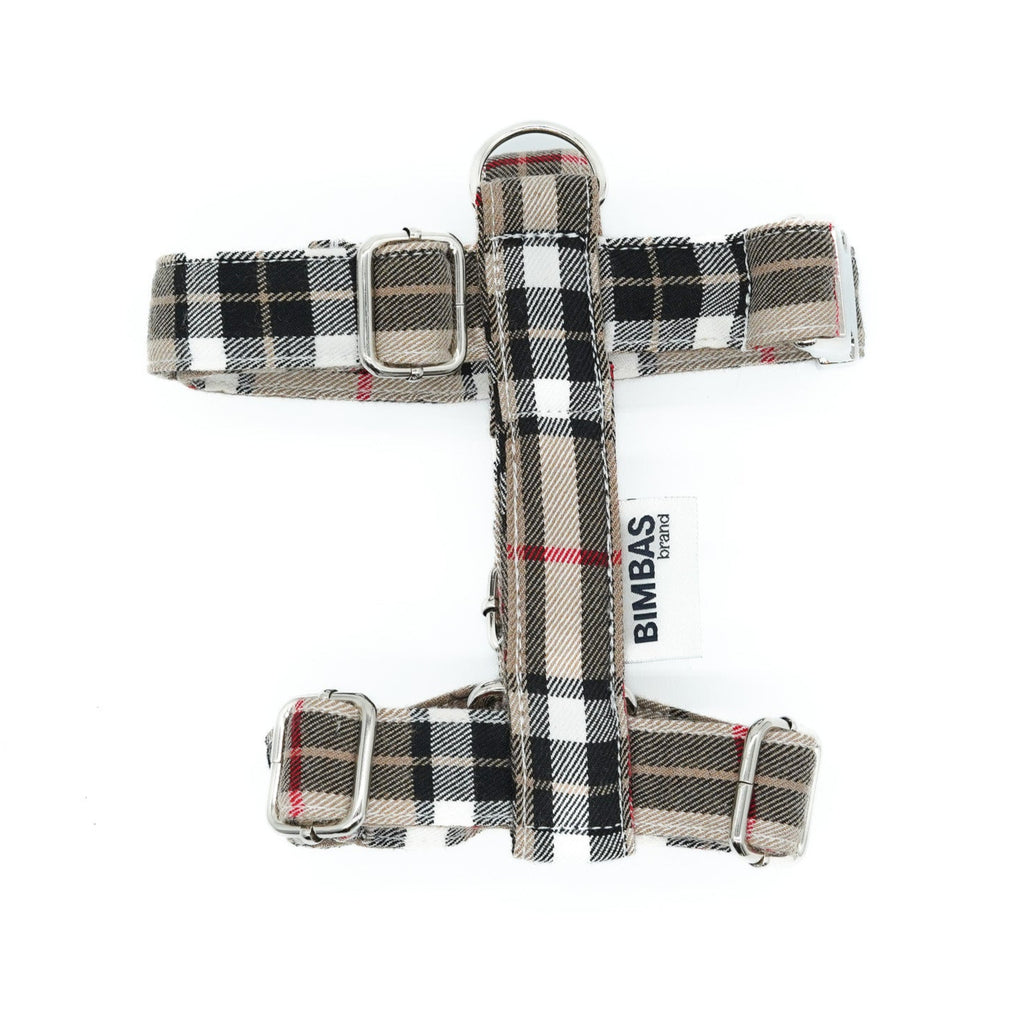 ARNÉS EN H INGLATERRA