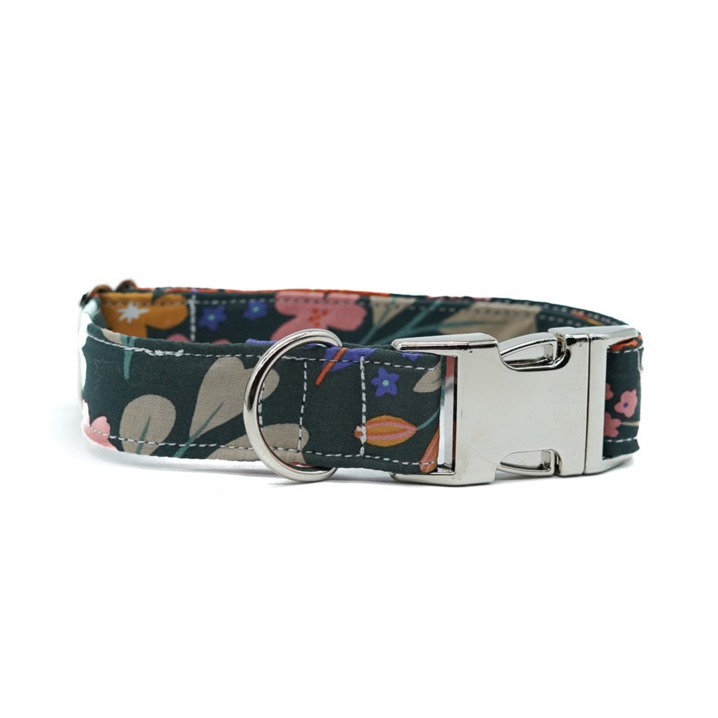 COLLAR PARA PERROS SPRING
