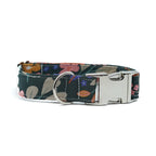 COLLAR PARA PERROS SPRING