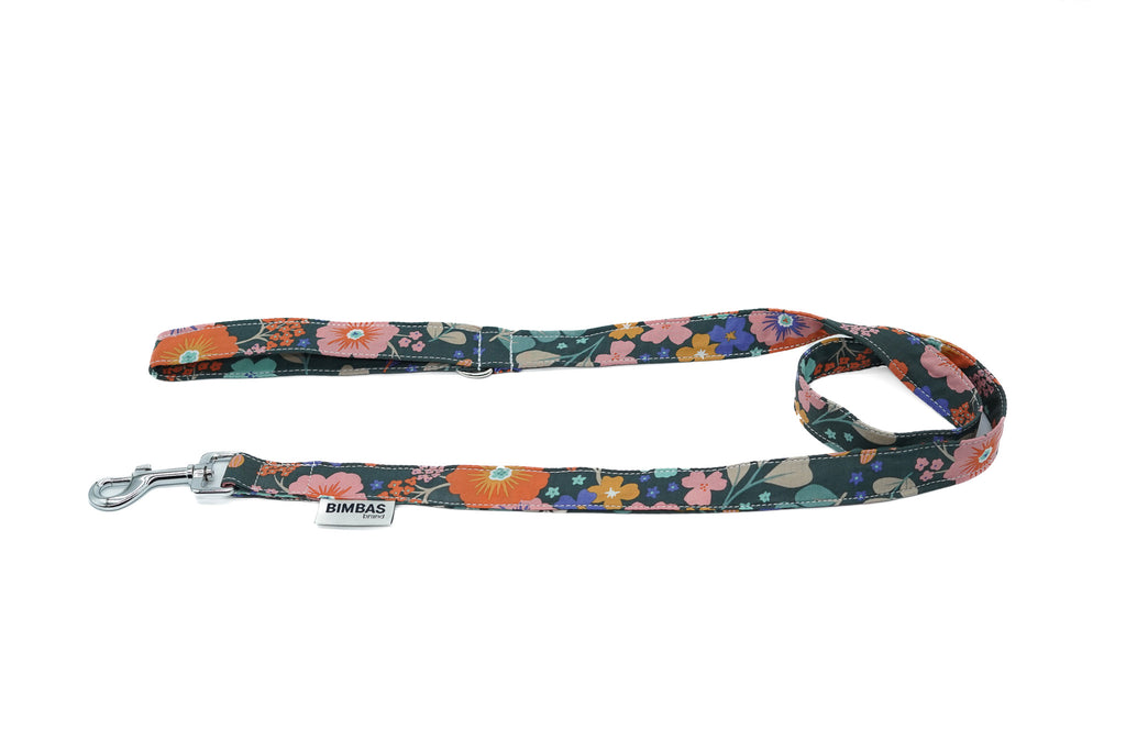 COLLAR PARA PERROS SPRING