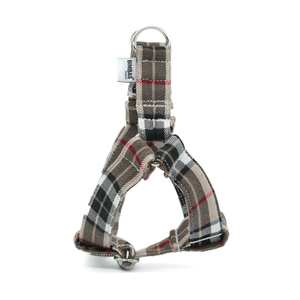 ARNÉS EN Y INGLATERRA