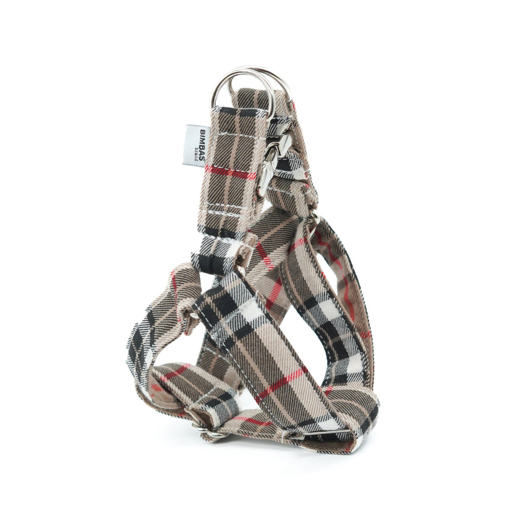 ARNÉS EN Y INGLATERRA