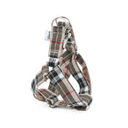 ARNÉS EN Y INGLATERRA