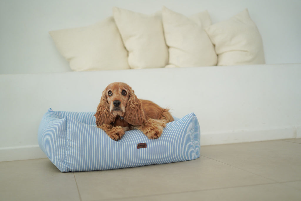 CAMA PARA PERROS DESENFUNDABLE MARINE