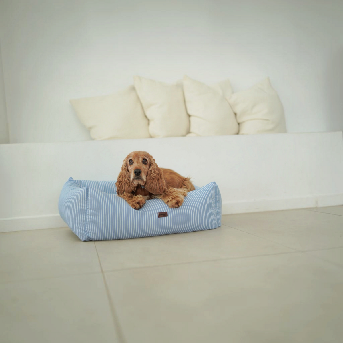 Cocker Spaniel descansando en cama para perros BIMBAS BRAND azul a rayas, desenfundable e impermeable.