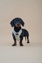 ARNÉS PARA PERROS VICHY PASTEL