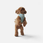 Arnés para perros BIMBAS BRAND modelo Molly de algodón con estampado de cuadros vichy azul y malla transpirable