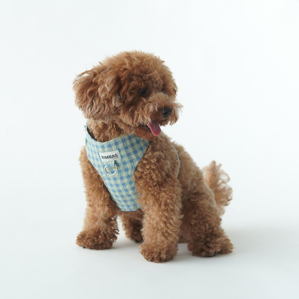 ARNÉS PARA PERROS MOLLY