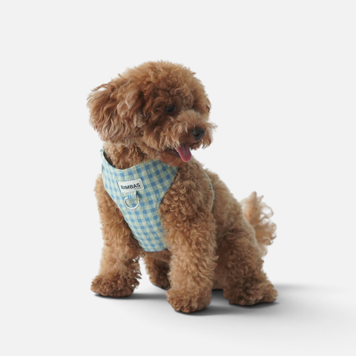 Arnés para perros BIMBAS BRAND modelo Molly de algodón azul con estampado de cuadros vichy y malla transpirable