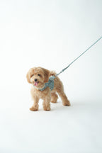 ARNÉS CHALECO MOLLY