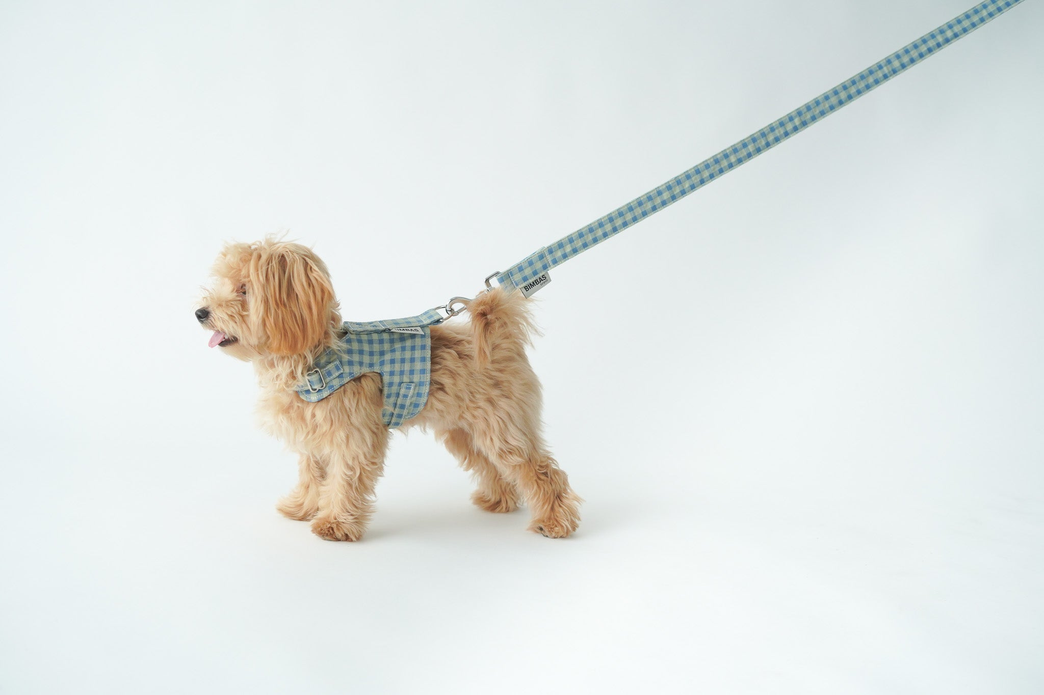 ARNÉS CHALECO MOLLY