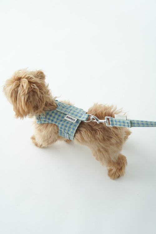 ARNÉS CHALECO MOLLY