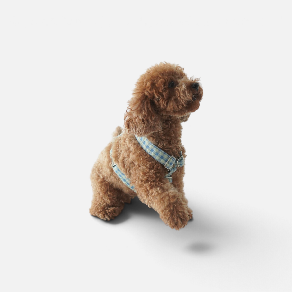 Arnés ajustable para perros BIMBAS BRAND modelo Molly en tela de algodón azul a cuadros con hebillas metálicas